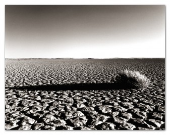 B&WMusings006 Weed and Dry Lake Bed Luepe Arizona
