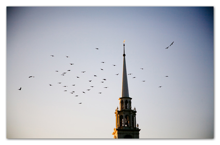 ColorMusings008 Doves Flying over Church Massachusetts